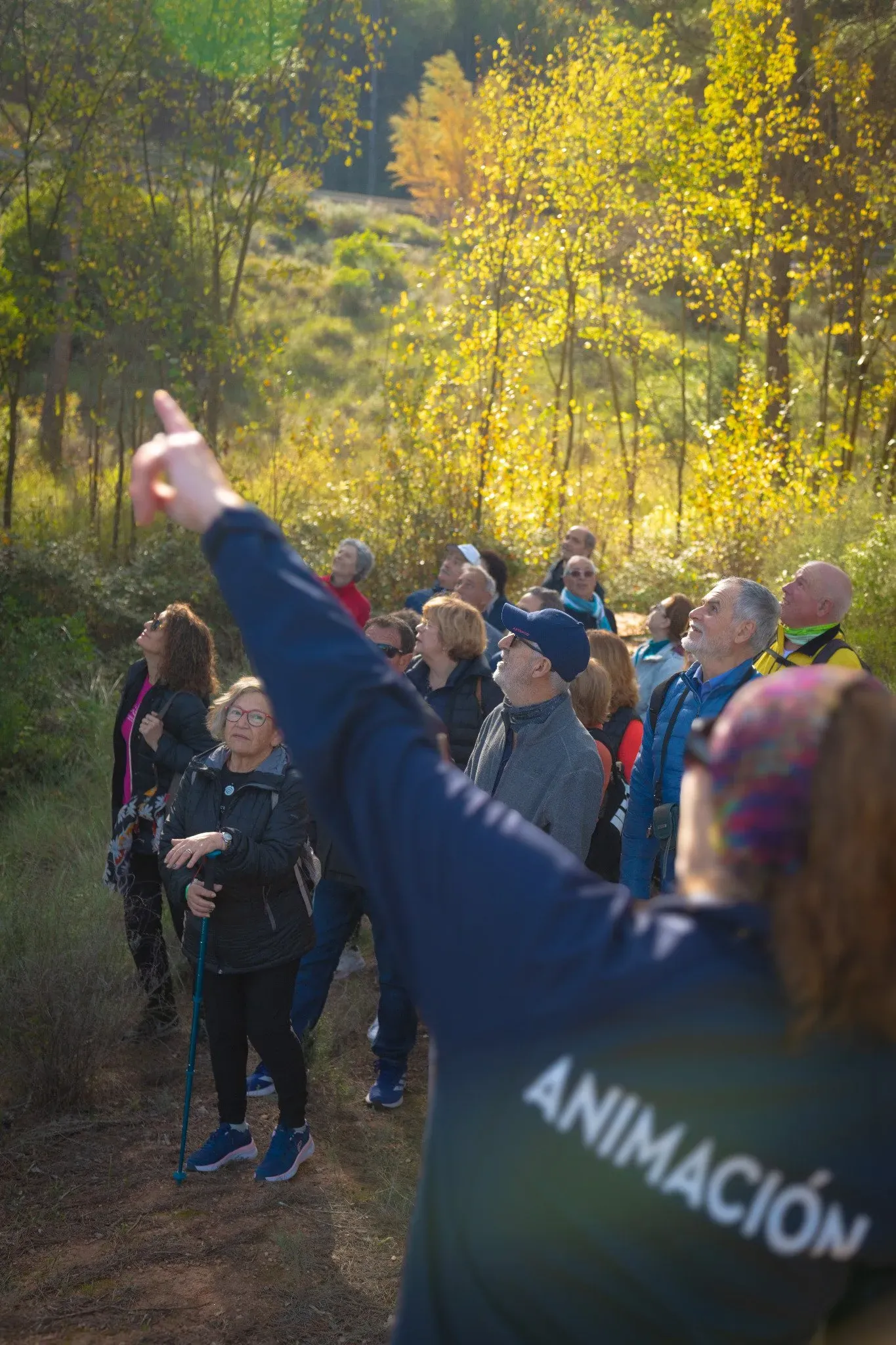 Grupo de personas disfrutando de una actividad en la naturaleza